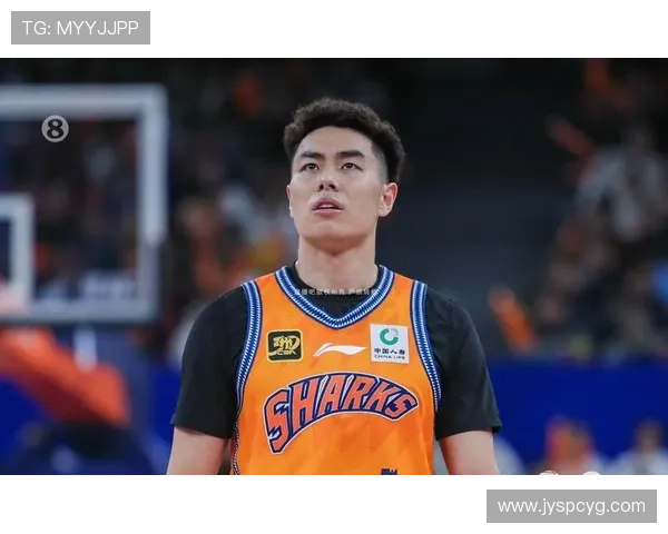 篮球直播在线观看免费平台汇聚赛事高清流畅实时解说多端覆盖体验